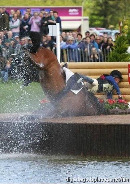 horse_upside_down.jpg - Ein sterreichischer und ein bayrischer Fuchs spazieren durch den Wald. Pltzlich - fapp, fapp - schnappen zwei Fangeisen zu. Der bayrische Fuchs beginnt zu winseln: "Mei, wos tun mir jetz'na?" Der sterreichische Fuchs berlegt kurz: "Bevor der Jger kommt und uns erschiet, da bei' ich mir lieber den Fu ab und humple davon." Gesagt, getan - der sterreichische Fuchs beit sich das Bein ab und humpelt davon. Nach 500 Metern bleibt er stehen und wartet auf den bayrischen Fuchs. Es vergehen fnf Minuten, zehn Minuten, eine Viertelstunde, nach zwanzig Minuten humpelt er zurck. Dort sitzt immer noch der Bayer und jammert: "Mei - hob mir drei Hax'n obissen und hng' trotzdem noch..."