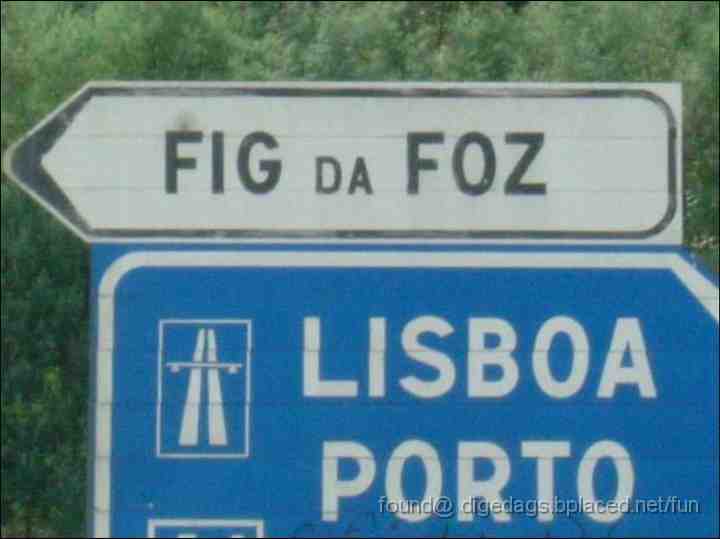 fig+da+foz.jpg