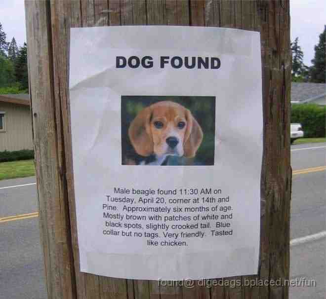 tasty_dog.jpg