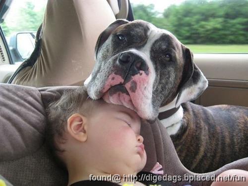 dog+baby.jpg - -My dog has got no nose.-No nose? How does he smell?-Terrible!