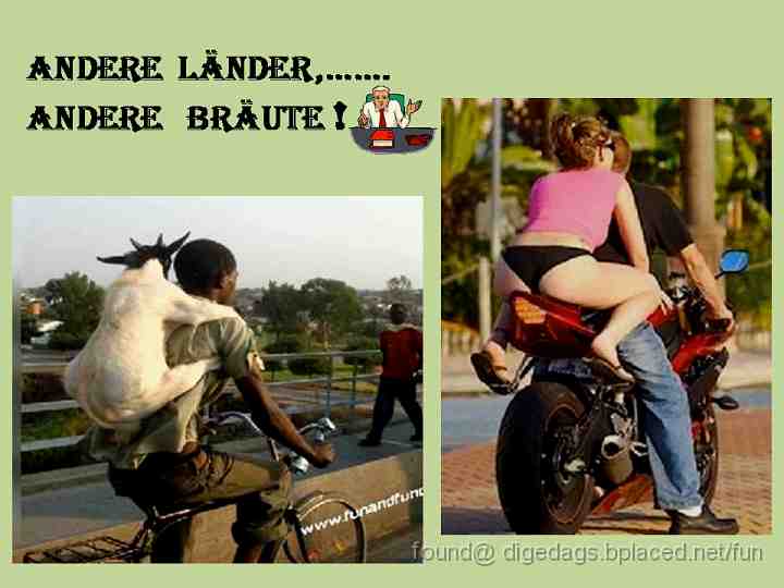 andere_Laender_andere_Braeute.gif - Q. What do Muslim men do during foreplay? A. Tickle the goat under the chin.