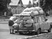 harvest+moskvich