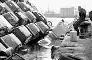 ins+wasser+gefallen